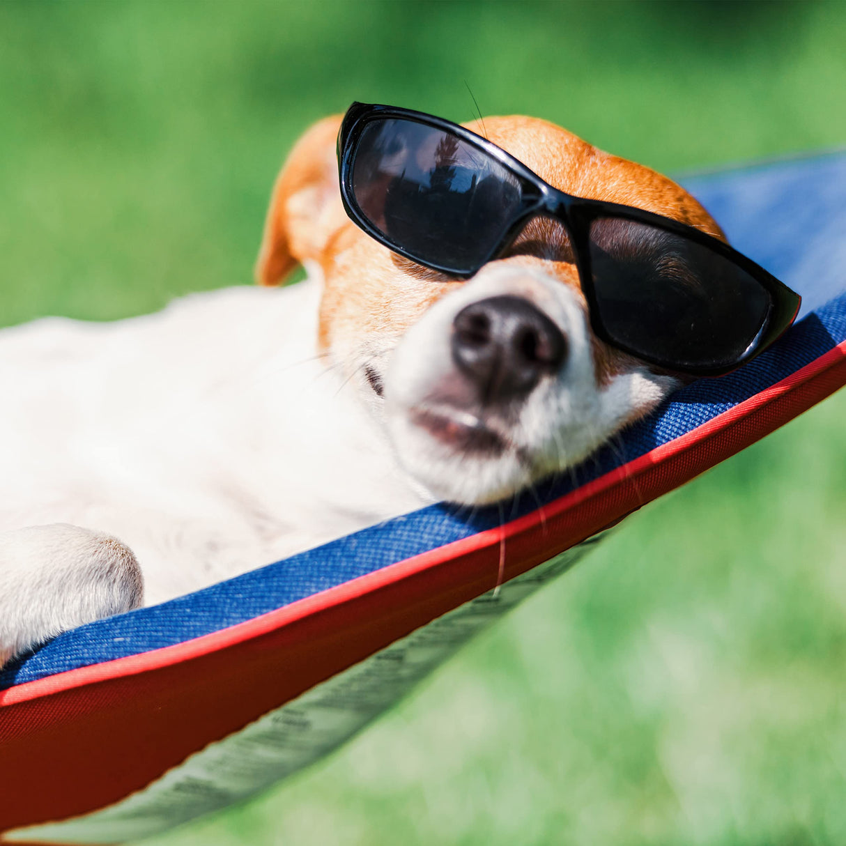 Hammock with Stand Included - Portable Hammock Fits into Carry Bag for Easy Travel - Perfect for Backyard, Pool, Beach, Hiking by Lavish Home (Gray) Lavish Home