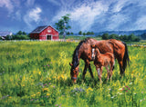 Buffalo Games - Carla D'aguanno - Near and Dear - 1000 Piece Jigsaw Puzzle for Adults -Challenging Puzzle Perfect for Game Nights - Finished Size is 26.75 x 19.75 Buffalo Games