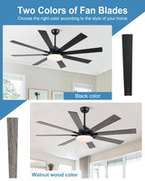 POCHFAN 62 inch Ceiling Fans with Lights and Remote Control, Large Black Ceiling fan with 8 Wooden Blades for Living Room Bedroom Patio, Quiet DC Motor, 3-CCT Dimmable,6 Speed POCHFAN