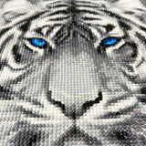 RICUVED Diamond Art Kits for Adults, White Tiger Diamond Art Full 5D Diamond Art Kits Tiger Rhinestone Picture Art Craft for Home Wall Decor 11.8x15.7 Inch RICUVED
