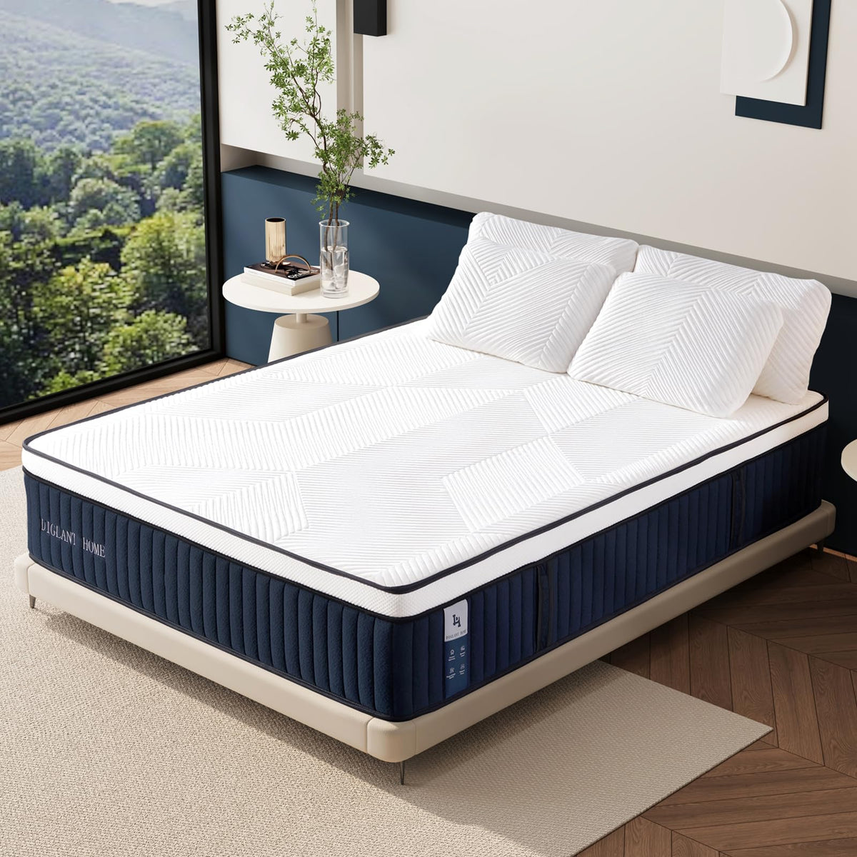 Queen Mattress, DIGLANT 14Inch Euro Top Memory Foam Hybrid Mattress, Medium Plush Feel Pocket Springs Queen Size Mattress for Pressure Relief, Edge Support Mattress in Box, CertiPUR-US, 60"*80" DH DIGLANT HOME