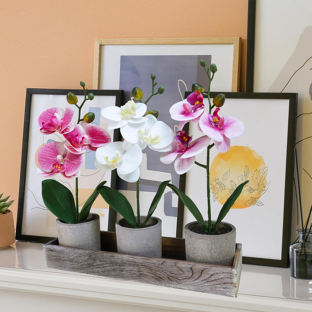 Winlyn Set of 3 Small Artificial Orchid Potted Plants Arrangement with Rustic Wood Planter Box Real Touch Faux Phalaenopsis Moth Orchid Flowers in Pots for Home Office Desk Shelf Table Centerpiece Winlyn
