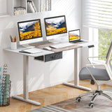 Giantex Electric Standing Desk, 55" x 28" Height Adjustable Desk with Memory Preset Controller, Storage Drawer, USB Charging Port, 2 Cable Holes, Stand Up Computer Desk for Home, Office, Gray Giantex