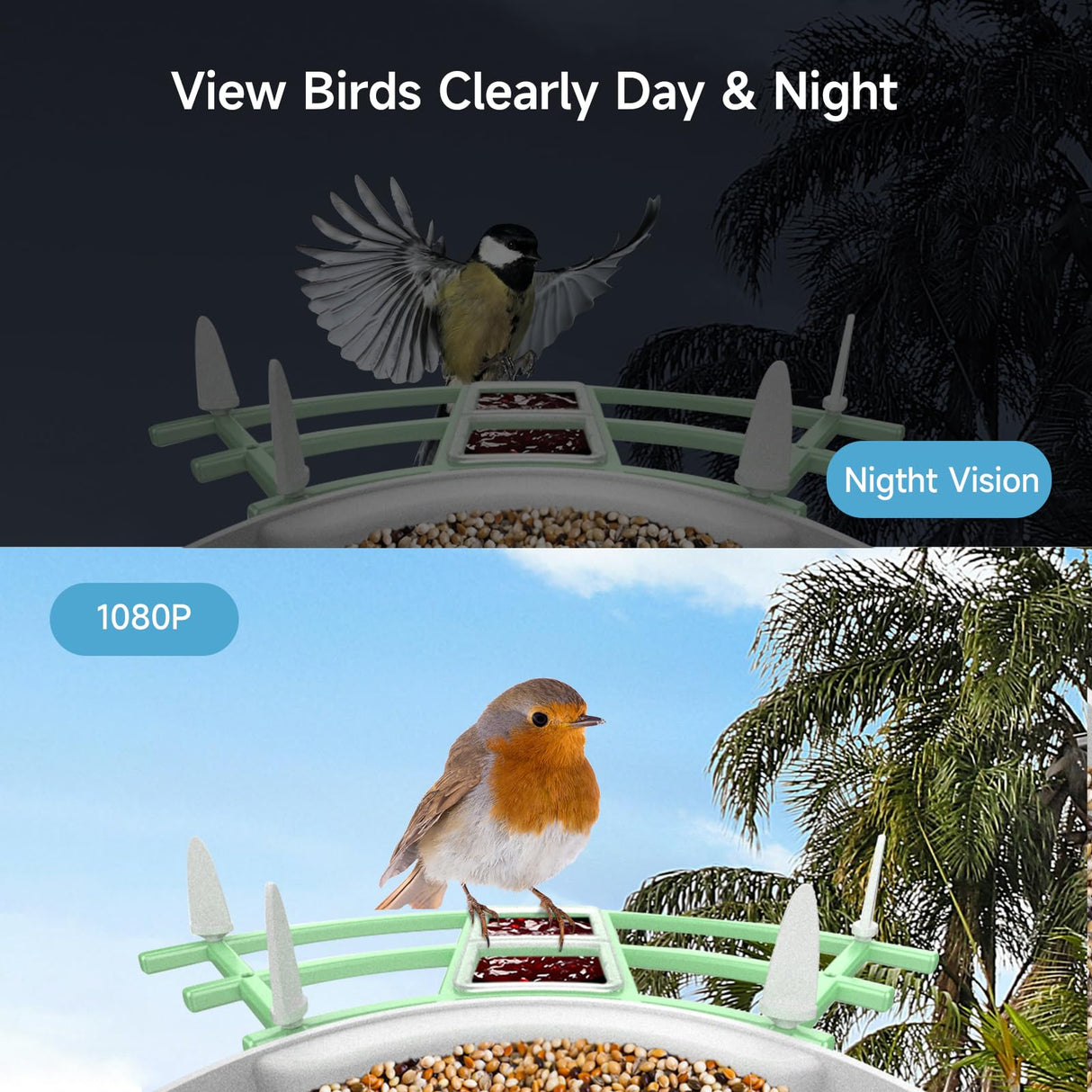 Fazoxo Bird Feeder with Camera, Smart AI Bird Breed Recognition, Birds Motion Detection with Real-Time Notice, Auto Capture Bird Watching WiFi Fazoxo