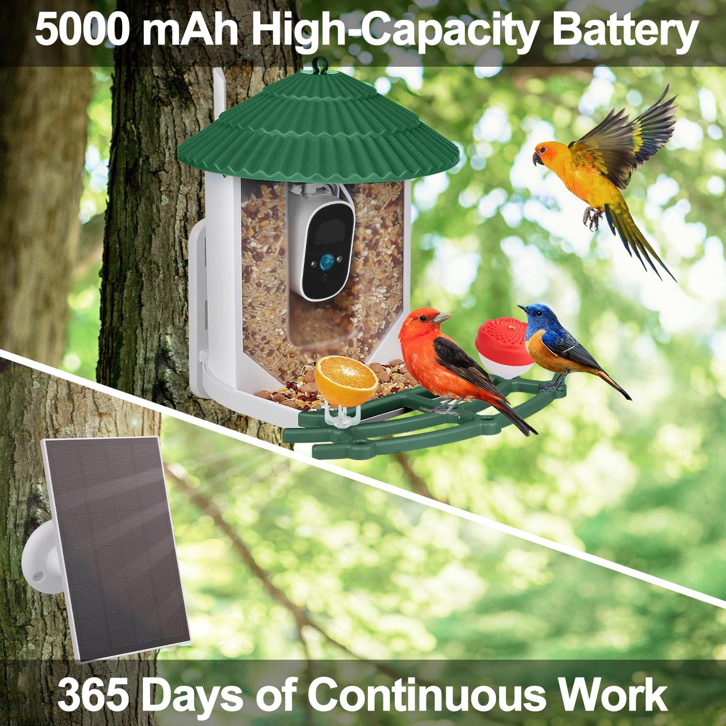 Smart Bird Feeder with Camera, 4MP Bird Feeder Camera Wireless Outdoor, APP Control, Batteries & Solar Powered, Color Night Vision, 10000+ AI Identify Bird Species, Ideal Gift for Bird Lover