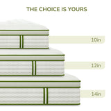 Emerspring Twin Mattress, 10 Inch Twin Hybrid Mattress with Individually Pocket Innerspring for Cooling Motion Isolation & Silent Sleep, Pressure Relief, Edge Support,Medium Firm Emerspring