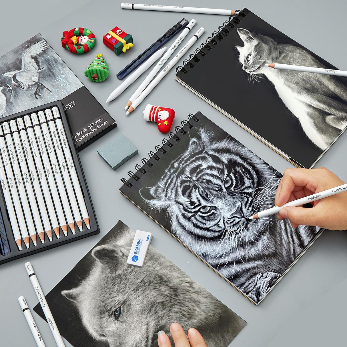 PANDAFLY White Charcoal Pencils Set, Professional 14 Piece Sketch Highlight Charcoal Pencils for Drawing, Sketching, Shading, Blending, White Chalk Pencils for Kid, Beginners & Pro Artists PANDAFLY