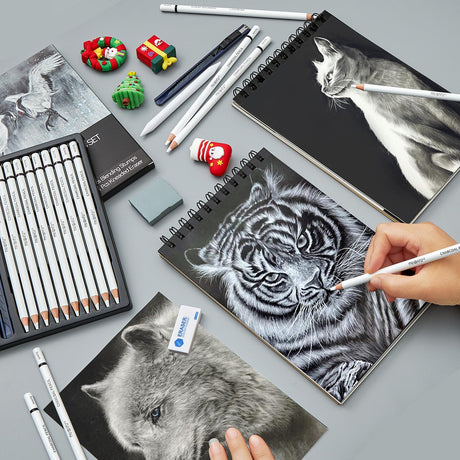 PANDAFLY White Charcoal Pencils Set, Professional 14 Piece Sketch Highlight Charcoal Pencils for Drawing, Sketching, Shading, Blending, White Chalk Pencils for Kid, Beginners & Pro Artists PANDAFLY