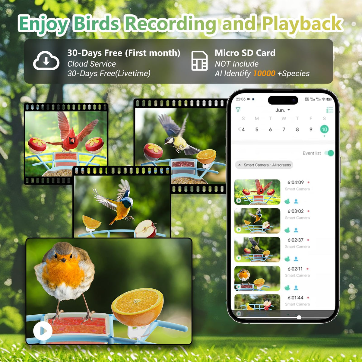 Vingtok Smart Bird Feeder with Camera, Outdoor Bird Watching Camera House with Solar Powered, Full HD AI Identify Camera DIY Wild Birdfy Feeder, Auto Capture Video & Real Time Views for Bird Lovers Vingtok