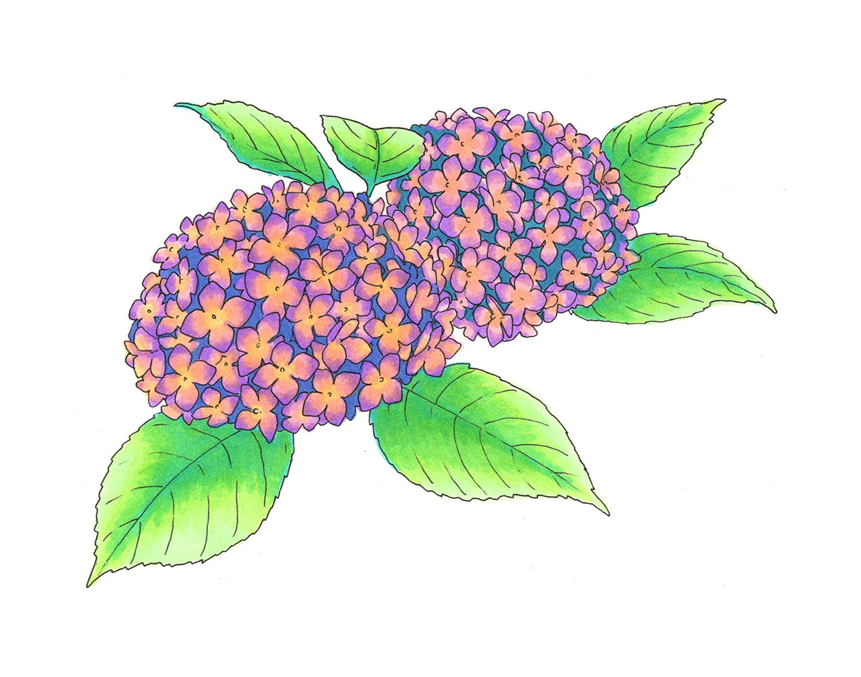 Copic Ciao, Alcohol Markers, 6pc Set, Pastels Copic