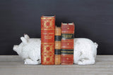 Creative Co-Op Distressed White Pig Shaped Terracotta Bookends (Set of 2 Pieces) Creative Co-Op