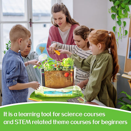 Root Viewer Kit for Kids - Grow Your Own Kids Garden for Boys & Girls - Science STEM Toy & Craft Growing Kits for Ages 6 7 8 9 10 Birthday Easter Gifts for Boy & Girls - Kid Gardening Set Geynaw