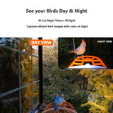 Smart Bird Feeder with Camera Solar Powered, AI Recognition,Auto-Record HD Bird Feeder Camera for Bird Watching TYSTDIRCT
