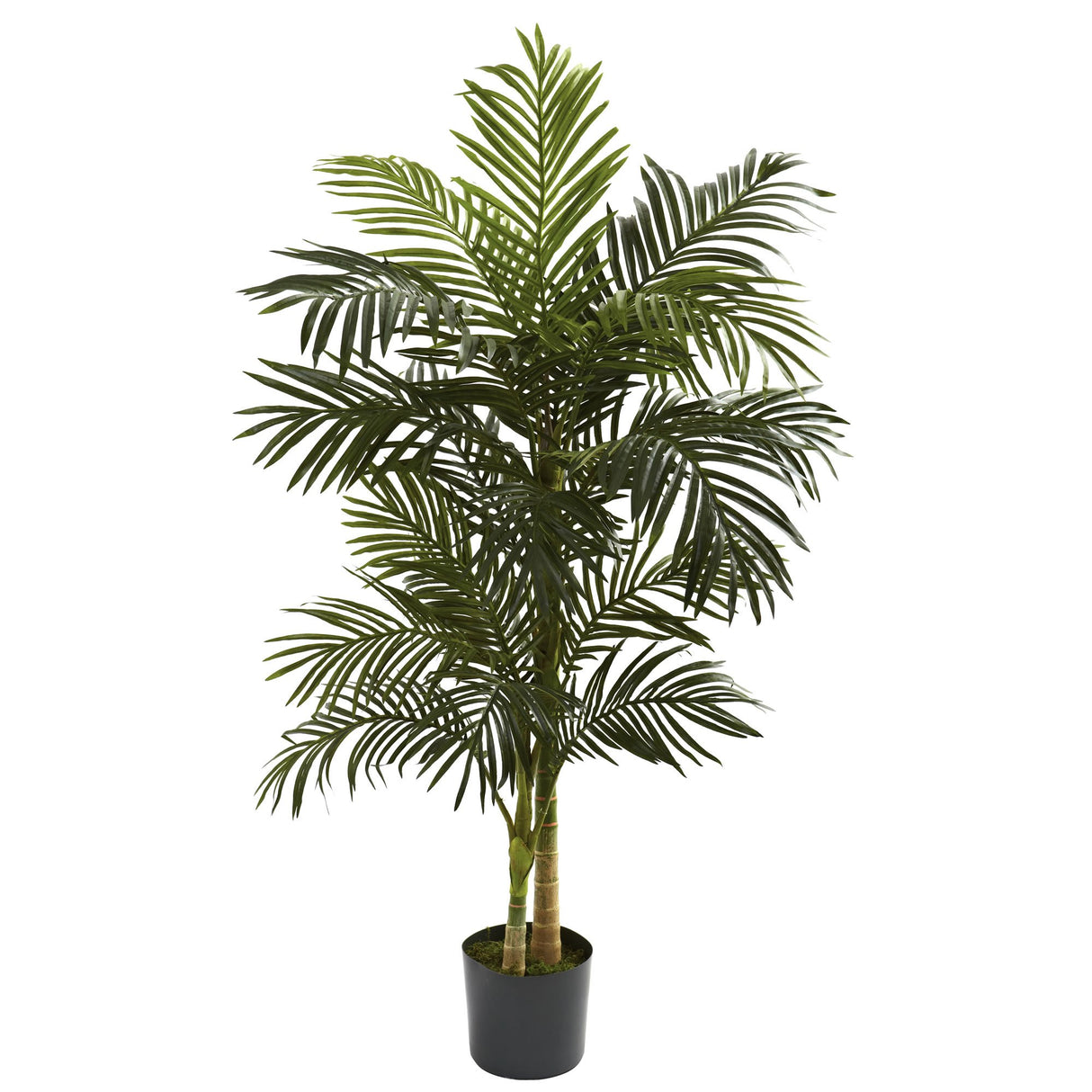 Nearly Natural 5ft. Golden Cane Palm Artificial Tree, Green Nearly Natural