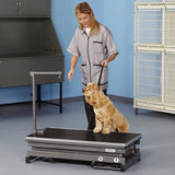 Master Equipment X-Tend Electric Grooming Table, Black Master Equipment