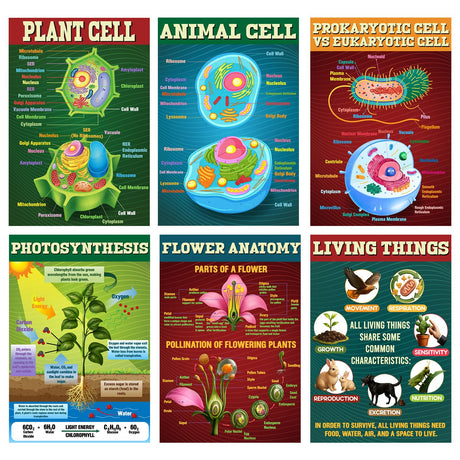 Pasimy 6 Pcs Science Posters Biology Posters for Classroom Biology & Life Science Charts for High School Biological Education Classroom Decorations, 11 x 17 Inches Pasimy