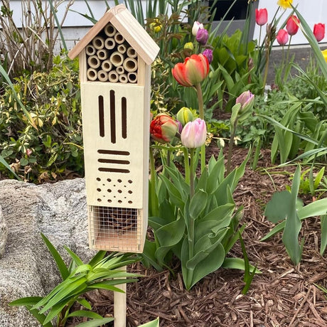 Wooden Insect House, Insect Hotel for Bugs, Bees, Butterflys, Ladybirds, Natural Beneficial Insect Habitat for Garden and Yard GardeningProducts4Less