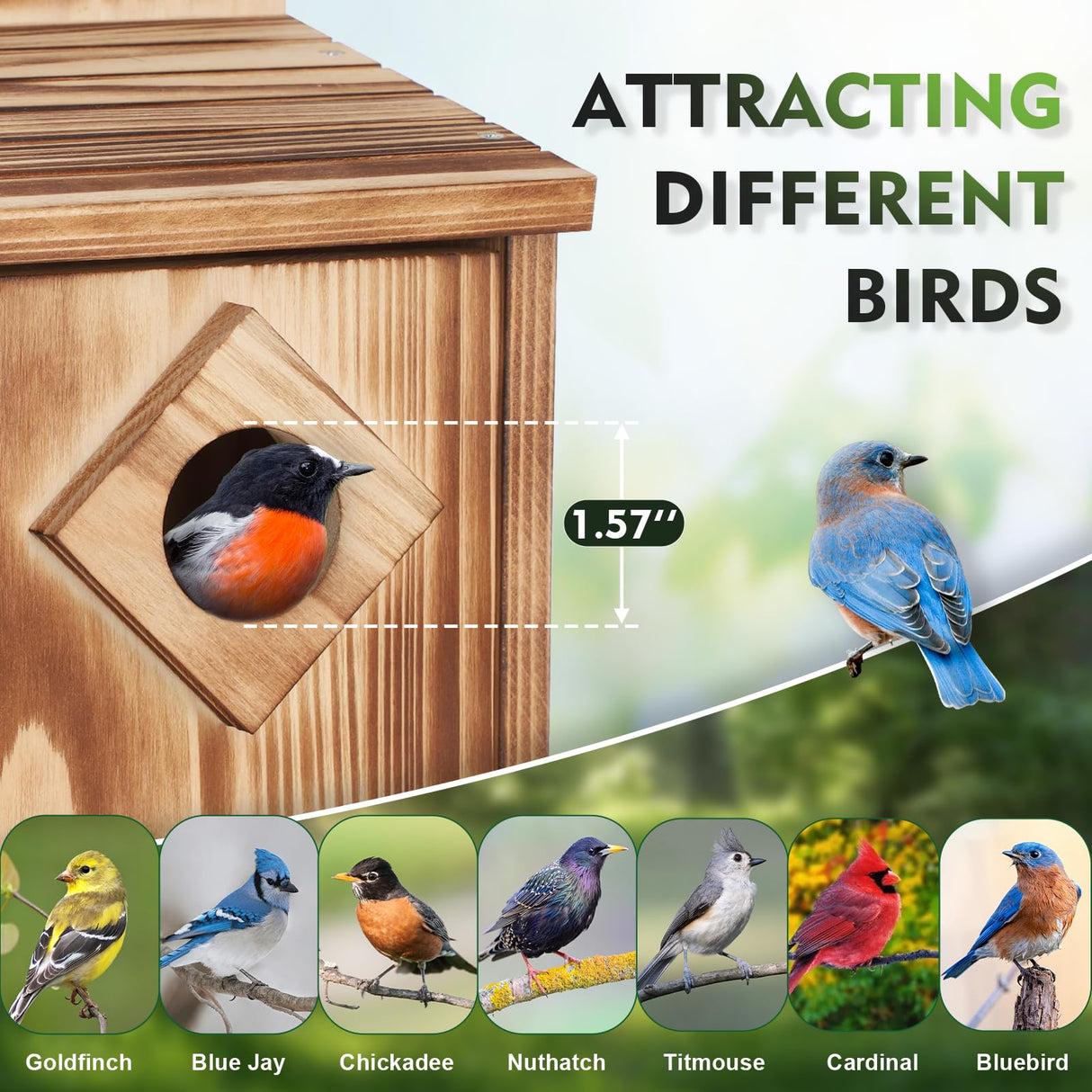 Gtongoko Bird Houses for Outside Clearance 1-3/5” Entrance Hole Wood Blue Birdhouses for Outdoors with Air Vents Easy to Clean Carbonized Wooden Nesting Box for Cardinals Swallows Finches Chickadee Gtongoko