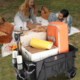 Navatiee Collapsible Folding Wagon, Beach Wagon Cart Heavy Duty Foldable with Big Wheels, Utility Grocery Wagon with Side Pocket and Brakes for Camping Garden Sports, T1 Navatiee