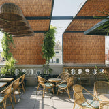 Bamboo Screen Fencing Natural Reedhead Rolls 3x5ft 4x10ft 5x20ft 6x16.4ft Outdoor Fence Rolls Easy to Install for Garden Balcony Outdoor Patio Backyard Divider Decorative ZGDXPLA