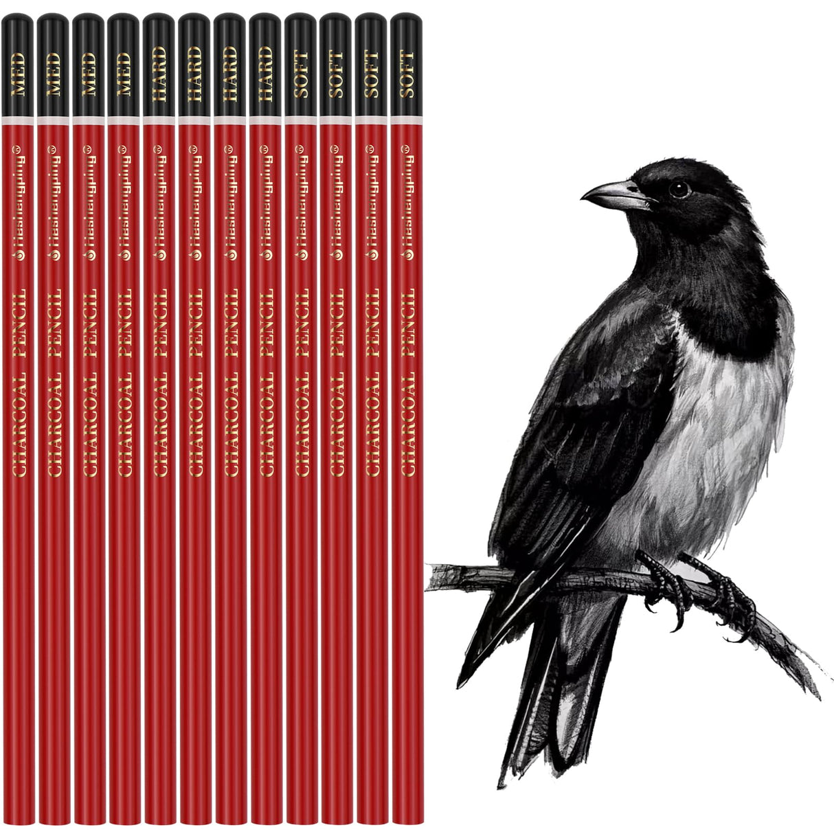 Heshengping Professional Charcoal Pencils Drawing Set -12 Pieces Soft, Medium Hard Charcoal Pencils for Drawing Sketching Shading Artist Pencils for Beginners Artists Heshengping