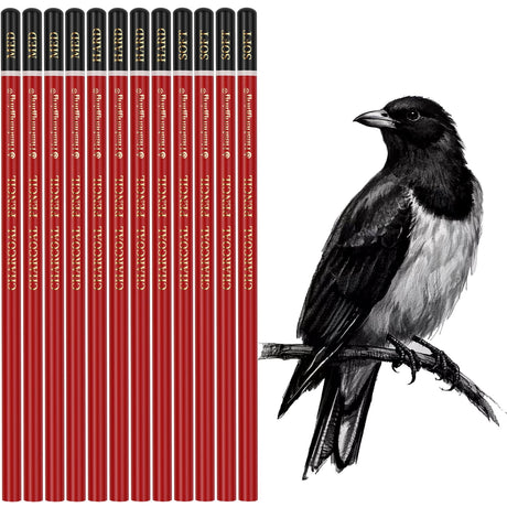 Heshengping Professional Charcoal Pencils Drawing Set -12 Pieces Soft, Medium Hard Charcoal Pencils for Drawing Sketching Shading Artist Pencils for Beginners Artists Heshengping