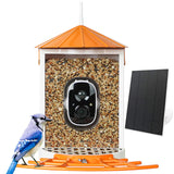Birdkiss Smart Bird Feeder with Camera Solar Powered, 1080P HD Wild Bird Watching Cam Auto Capture Videos and AI Identify, Squirrel Proof Metal Bird Feeders, Ideal Gift for Bird Lovers (Orange) Birdkiss