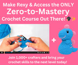 Amigo Rumi Cute Dinosaur Beginners Crochet Kit - Learn How to Crochet Starter Kit - 3+ Hours of Video Tutorials & Crocheting Book - Easy to See Yarn - Amigurumi Stuffed Animal for Kids 12+ & Adults Amigo Rumi