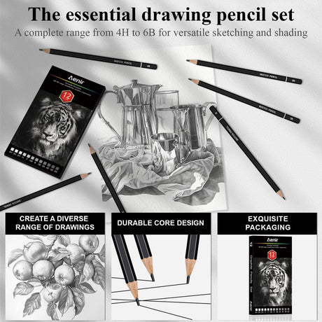 Sketch Pencils for Drawing, Set of 12 Drawing Pencils for Sketching Medium (6B - 4H), Artist Graphite Pencils, Sketch Set for Artists for Sketching Supplies, Art Supplies. Aenir