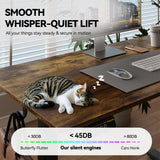 Gamork Electric Standing Desk Adjustable Height Stand Up Desk Ergonomic Sit Stand Desk for for Work Office Home Computer Desk Workstation (Rustic Brown C65, 48 * 24) Gamork