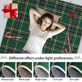 ROYHOME Christmas Area Rug 5x7 Feet Xmas Buffalo Plaid Machine Washable Carpet Rug Holiday Decorative Gingham Check Floor Cover Non Slip Stain Resistant Accent Rug for Living Room Decor, Green ROYHOME