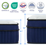 NiSleep Twin Mattress, 14 Inch Pillow Top Mattress in a Box, Medium Firm Fiberglass-Free, Soft Breathable Pressure Relief Memory Foam Hybrid Pocket Innerspring Bed, CertiPUR-US Certified NiSleep