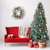 LOHASBEE Artificial Christmas Wreath, 24" Snow Flocked Pine Cone Grapevine Frosted Wreath with Red Berries Eucalyptus for Front Door Winter Christmas Home Hanging Wall Window Party Decor LOHASBEE