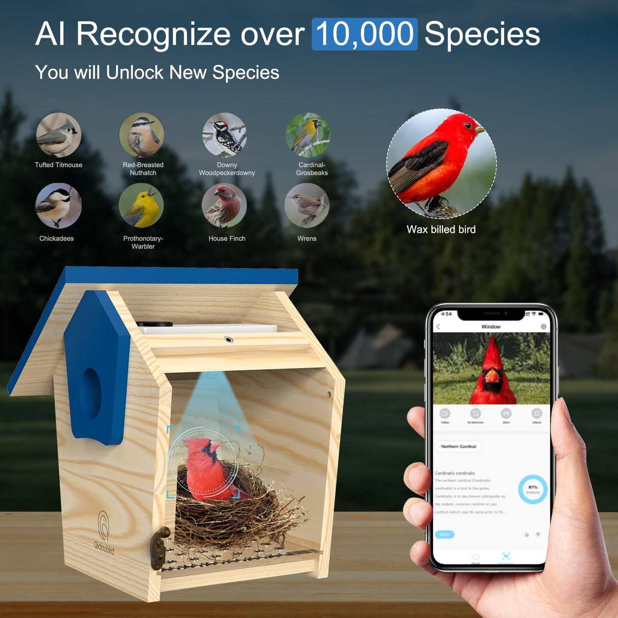 Qidoubird Smart Birdhouse with Camera, 2.4G WiFi Bird Watching Camera Night Vision, Wood Birdhouse Camera Auto Capture Bird Videos & Real Time Notify, Best for Bird Lovers Qidoubird