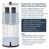 Royal Berkey Gravity-Fed Stainless Steel Countertop Water Filter System 3.25 Gallon with 2 Authentic Black Berkey Elements BB9-2 Filters Berkey
