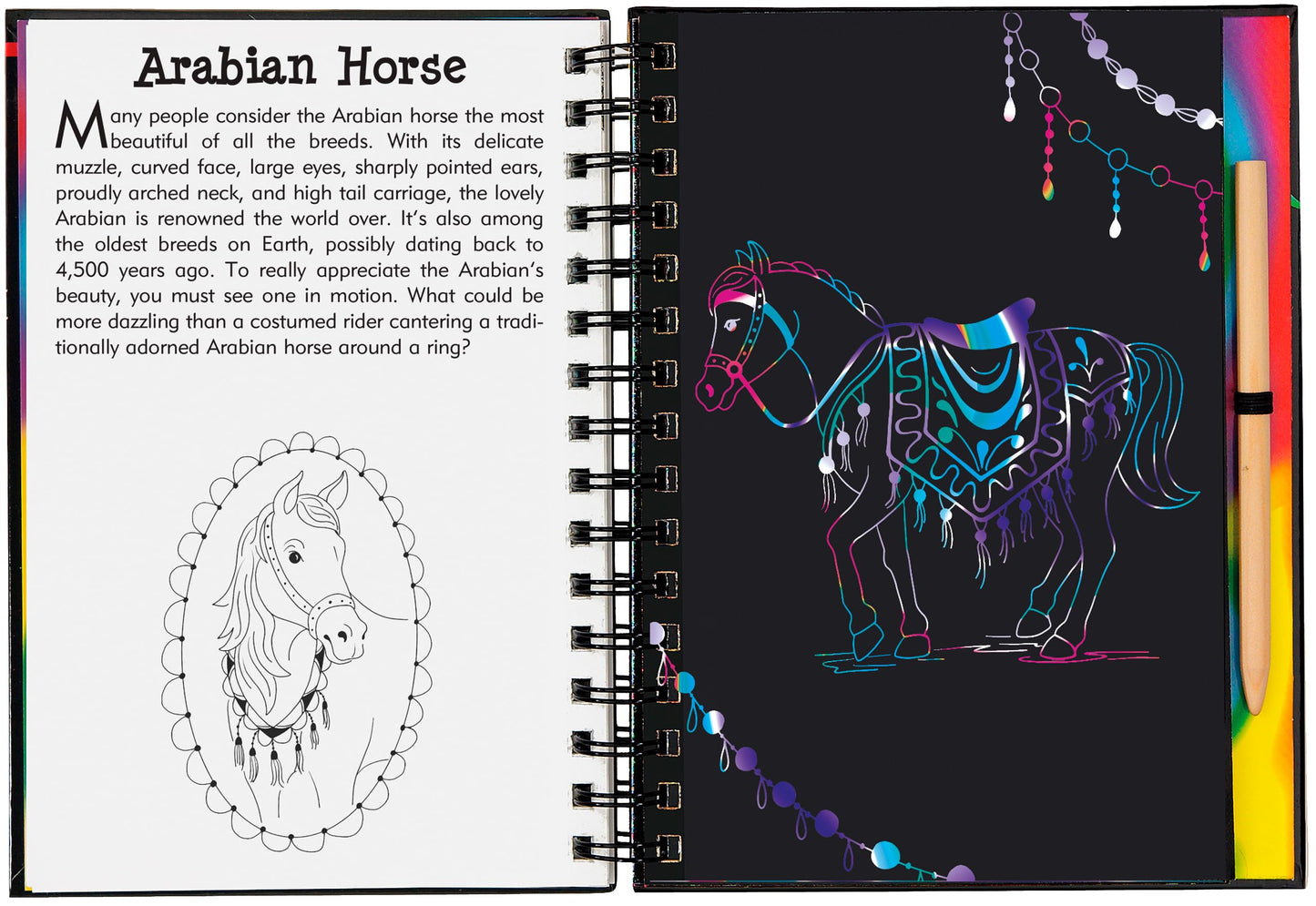 Scratch & Sketch Horses (Trace-Along)