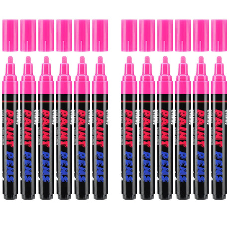 Craiiby Pink Paint Pens Paint Markers - 12 Pack Permanent Acrylic Quick Dry Waterproof Marker Pens for Rocks Wood Fabric Plastic Canvas Glass Mugs Metal Tire Stone Craiiby