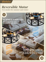 Fanbulous 16in Caged Ceiling Fans with Lights and Remote, Black Fandelier Ceiling Fan with 6 Speeds and Timing, Farmhouse Samll Fan Lights Ceiling Fixtures for Kitchen, Bedroom, Outdoor-Black X Fanbulous