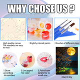 Ausanrl Moon Paint by Numbers Kits for Adults-Moon Paint by Numbers Adult,DIY Oil Painting Art Acrylic Adult Paint by Number Kits on Canvas Perfect for Gifts Home Wall Decor 16x20inch Ausanrl