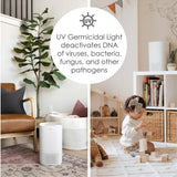 Crane Air Purifier with UV Light and True Hepa Filter, 250 Sq Ft Coverage, Timer, Sleep Mode, for Bedroom and Home, Up 250 SQ FT Coverage, White Crane