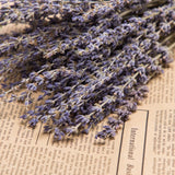 Timoo Dried Lavender Bundles 100 Natural Dried Lavender Flowers for Home Decoration, Photo Props, Home Fragrance, 2 Bundles Pack Timoo
