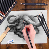 MARTCOLOR Drawing Sketching Pencils Set, 34 Pieces Pro Art Pencil Kit - Graphite Pencils (14B-4H), Charcoal Pencils, Charcoal Sticks, Artist Pencils for Beginners & Pro Artists MARTCOLOR