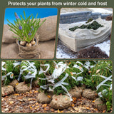 AK TRADING CO. 40" Wide Burlap Fabric 10oz Natural - Heavy Duty 100% Jute Material for Upholstery, Home Décor, Gardening, & Wedding Projects - Eco-Friendly & Biodegradable - 40 Inches x 5 Yards AK TRADING CO.