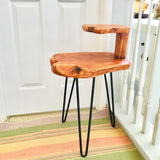 Greenage Solid Cedar Roots Dual Top End Table, 18" x 16" x 26" High Plant Stand, Sturdy Side Table Live Edge Coffee Table for Living Room Bedroom Home Decor Greenage