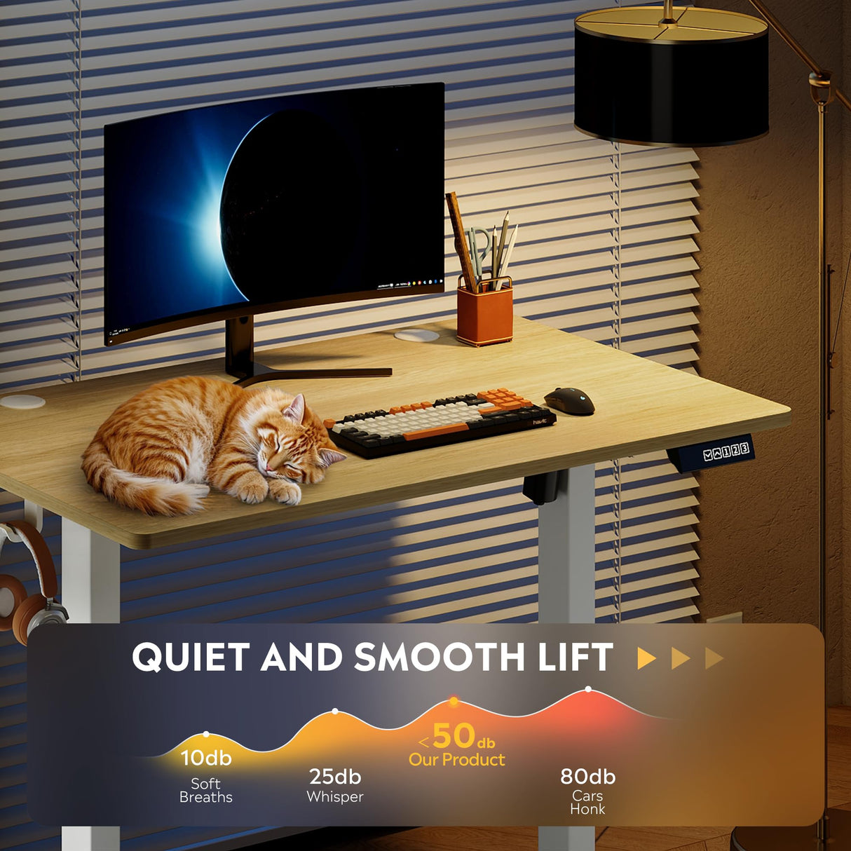 DEVAISE 40 X 24 Inches Electric Standing Desk,Height Adjustable Stand up Desk for Home Office, Ergonomic Sit to Stand Desk with Phone Holder,Maple DEVAISE