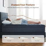 Queblox Full Mattress, 10 Inch Hybrid Mattress in a Box,Medium Firm, Memory Foam and Individual Pocket Springs for Pressure Relief, CertiPUR-US Certified Queblox