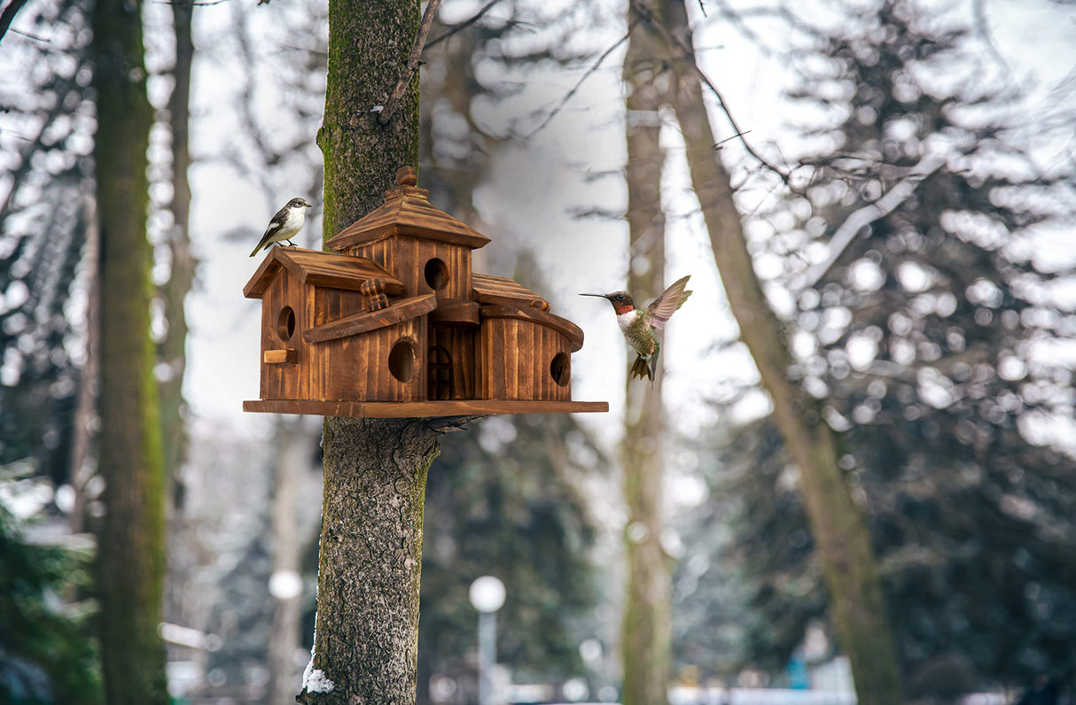COLEBA Bird Houses for Outside,Outdoor 5 Hole Bird House Room for 5 Bird Families Bluebird Finch Cardinals Hanging Birdhouse for Garden COLEBA