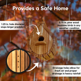 LushYards DIY Wooden Bird Houses for Outside | Hanging Bird House Kit for Adult | Build it Yourself Birdhouse | Build Your Own Birdhouse Building Kits for Adults | Wood Craft Kits for Adults to Build Generic