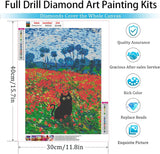 GemZono Adult Diamond Art Painting Kits-Villain Diamond Art Kits for Adults,5D Diamond Painting Kits,Full Round Diamond Arts Diamond Art Kits,Craft Home Wall Art Deco-12x16inches GemZono