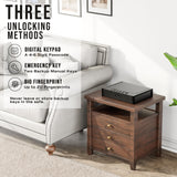 RPNB Gun Safe, Biometric Gun Safe for Pistols, Quick-Access Pistol Safe with Fingerprint & Digital Key Pad for 2 Guns and More RPNB